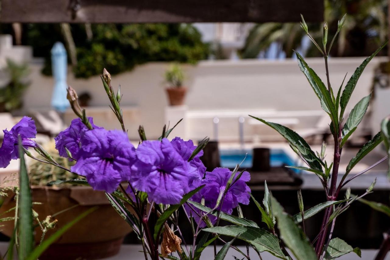 D View 4 You Mellieħa Exterior foto